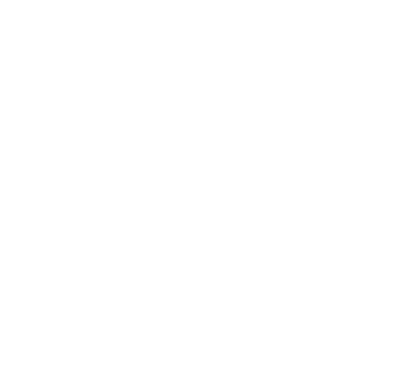 SDVOSB